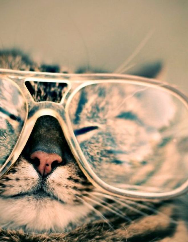 suc­cess under my&nbsp;skin