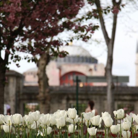 spring­time