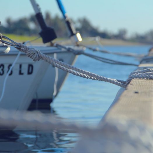 #sea­life – auf und an der&nbsp;See!