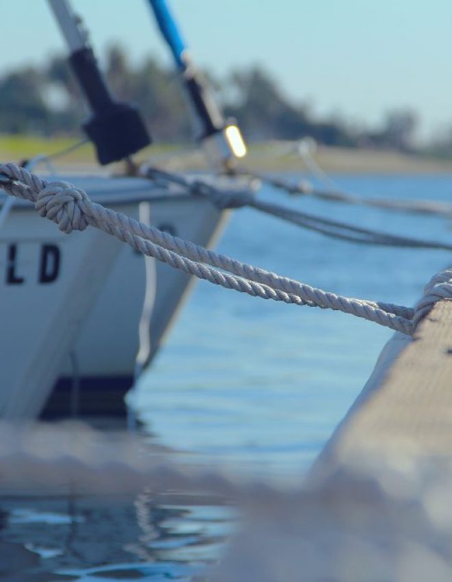 #sea­life – auf und an der See!