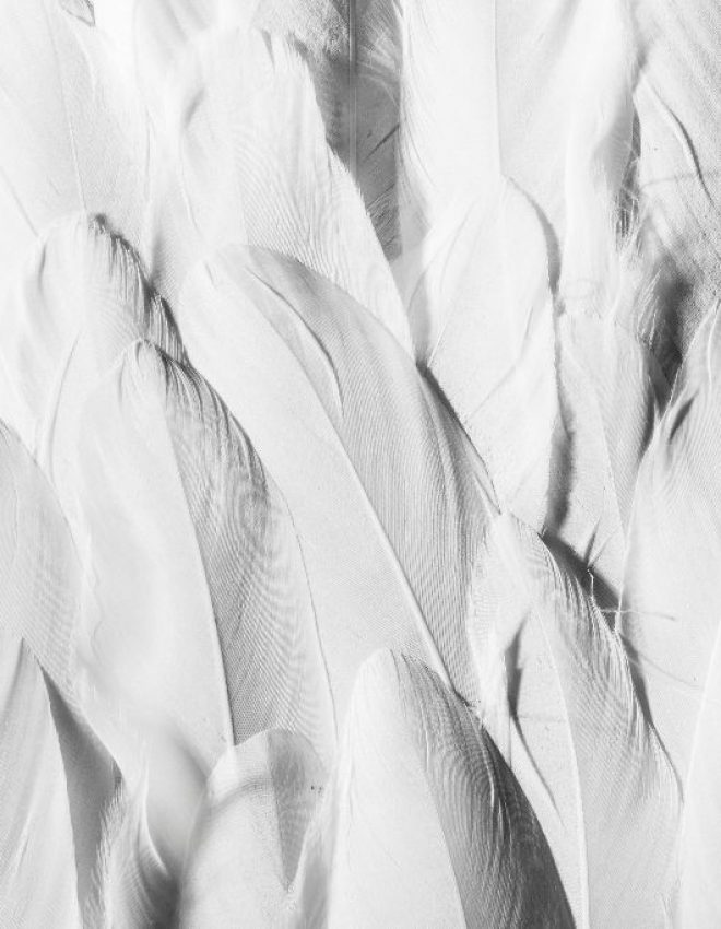 #J wie JANUAR, jam­mern & jubeln