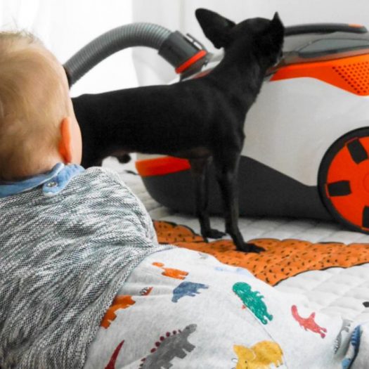 Staub­saugen 2.0 – mit dem Thomas Cycloon Hybrid „Pet &&nbsp;Friends“