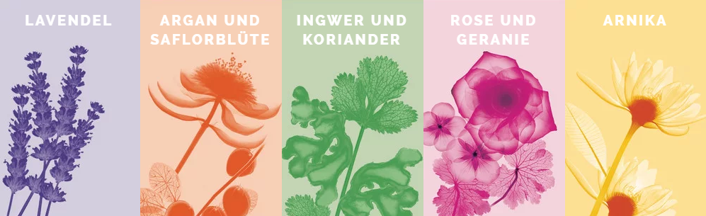 L’Oréal-Botanicals-Fresh-Care-Argan-und-Saflorblüte-56